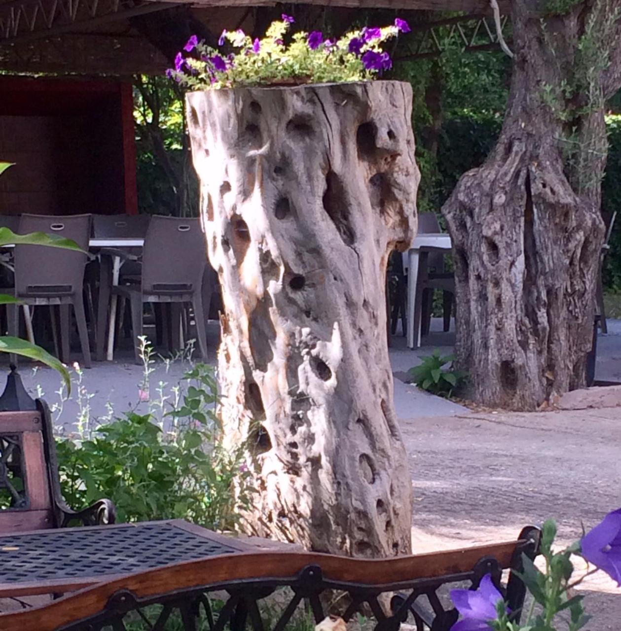 Aneton Apart otel Chrysi Ammoudia Dış mekan fotoğraf