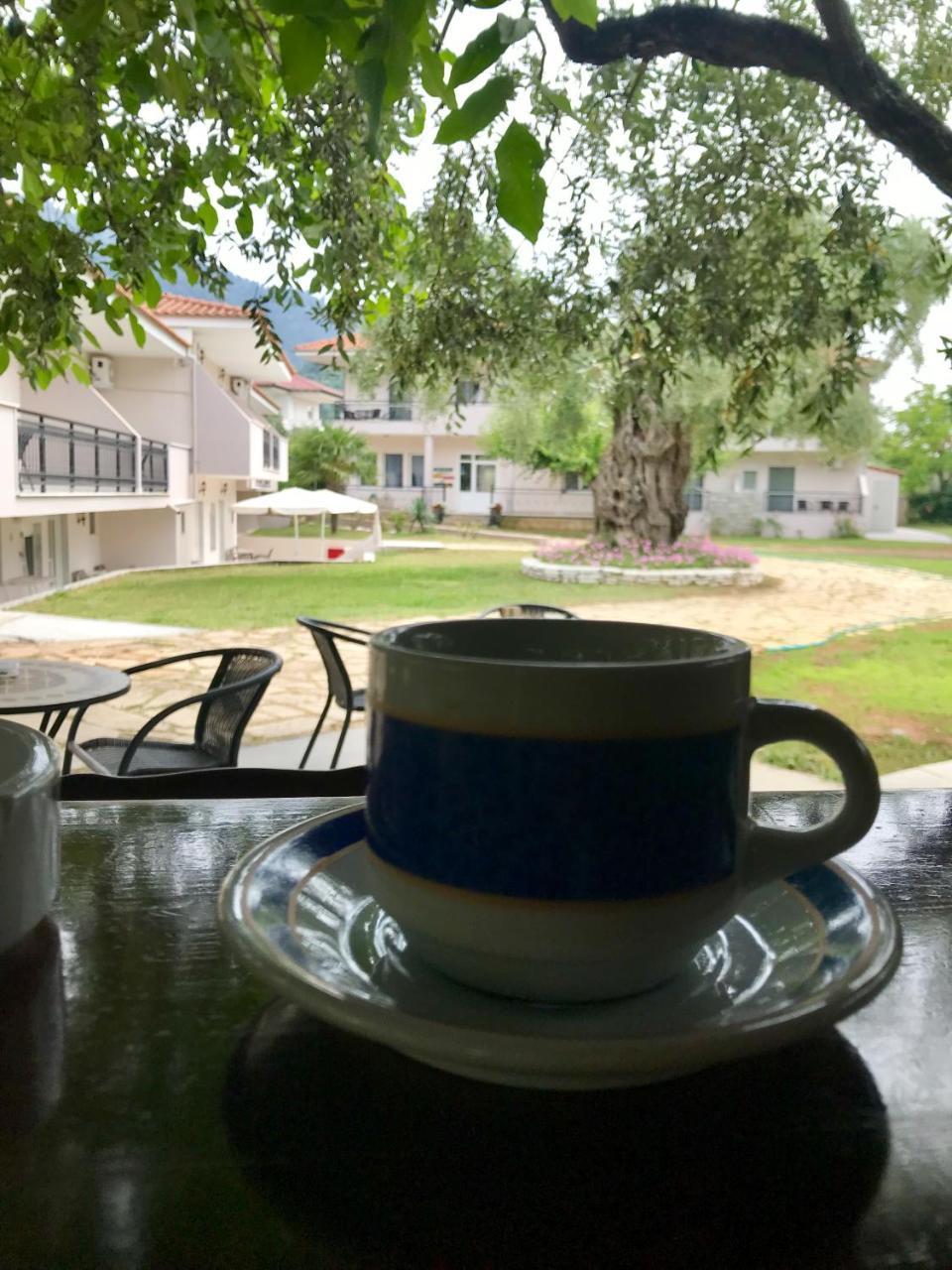 Aneton Apart otel Chrysi Ammoudia Dış mekan fotoğraf